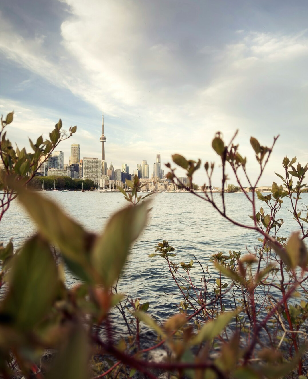 Toronto skyline along the waterfront